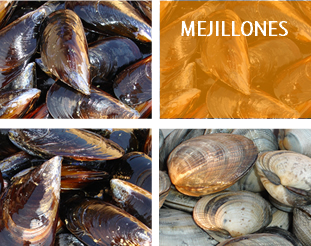mejillones
