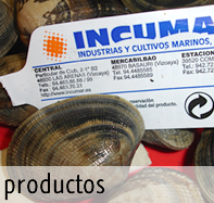 productos