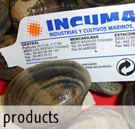 productos